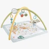 Fisher-Price Simply Senses Aktivitetscenter