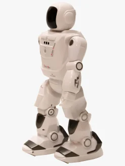 G4P Robot Orbit Bot