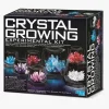 4M Eksperiment Krystallerdyrkning