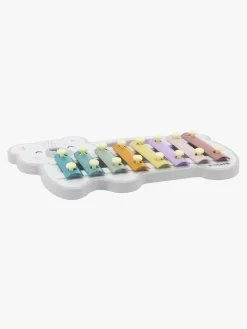 PolarB Xylofon